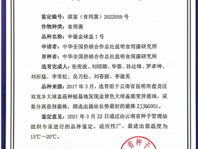 青岛银行、贵阳银行等获密集调研 明年息差压力仍是关注重点 多家银行开门红项目储备量和结构“曝光”