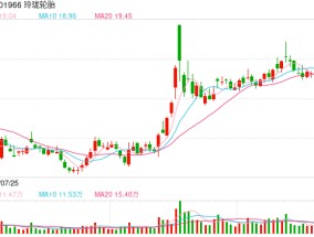 玲珑轮胎被比亚迪点名压价大客户依赖弊端显现 出海不力削弱话语权受制于人局面难改